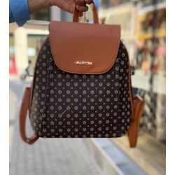 BACKPACK IN TAMPA AND BROWN