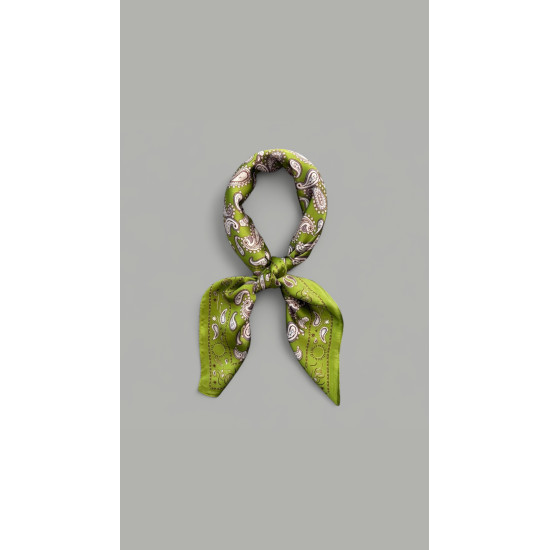 SILK SCARF IN BEIGE - GREEN